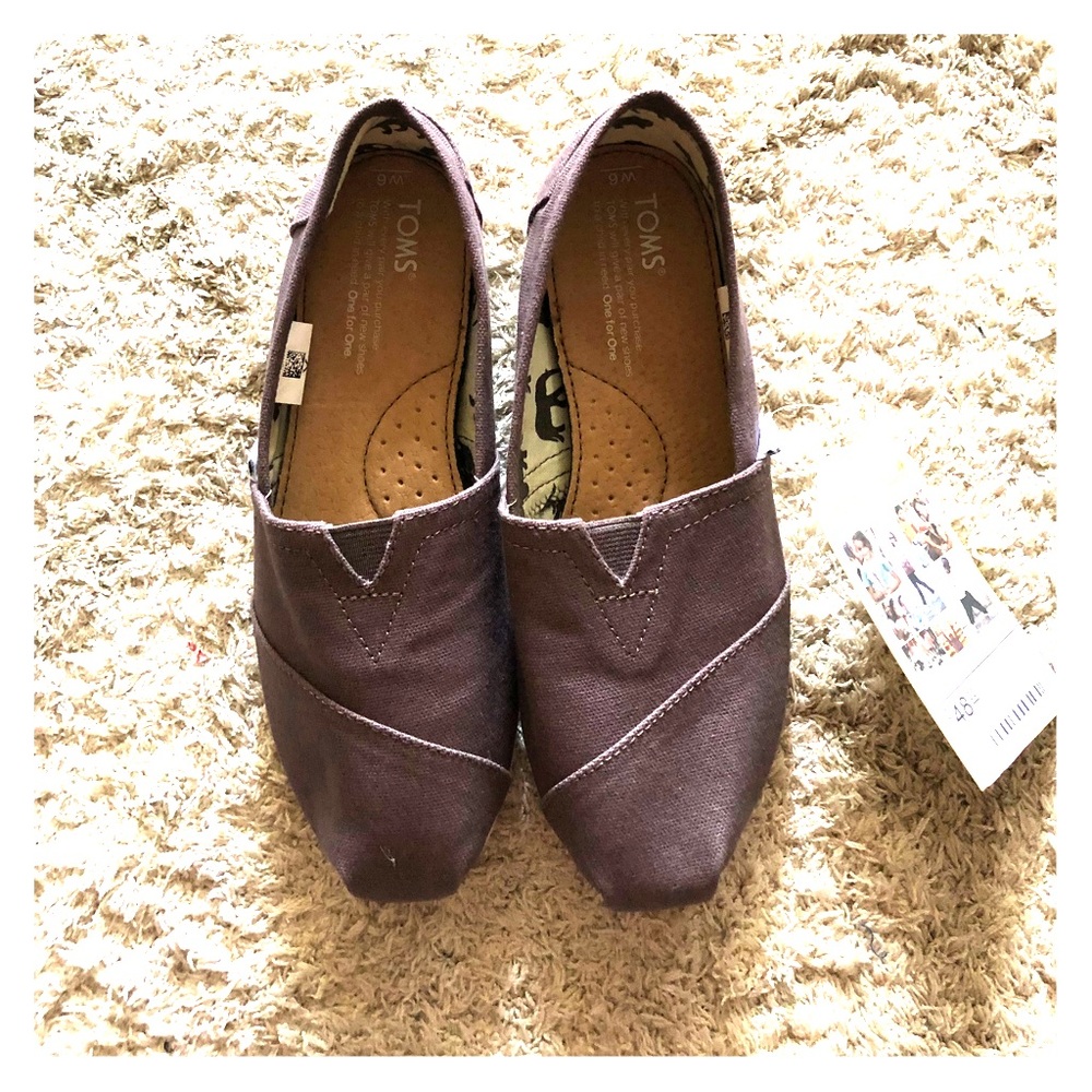 TOMS Ash Canvas
